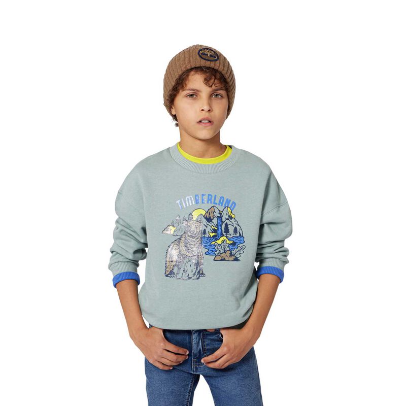 Timberland Glossy Bear Sweatshirt 8Y-10Y image number 1